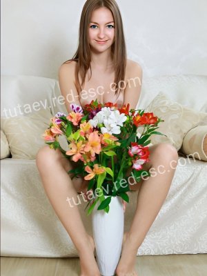 София — Плавск